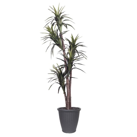 Dare2Decor 6 ft. Marginata Executive Tree in Round Grey Container, Green DA3250951